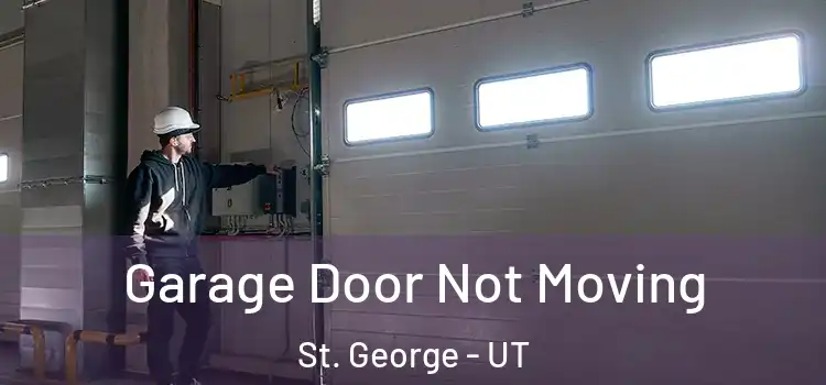 Garage Door Not Moving St. George - UT