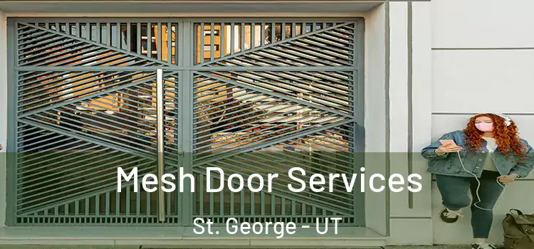  Mesh Door Services St. George - UT